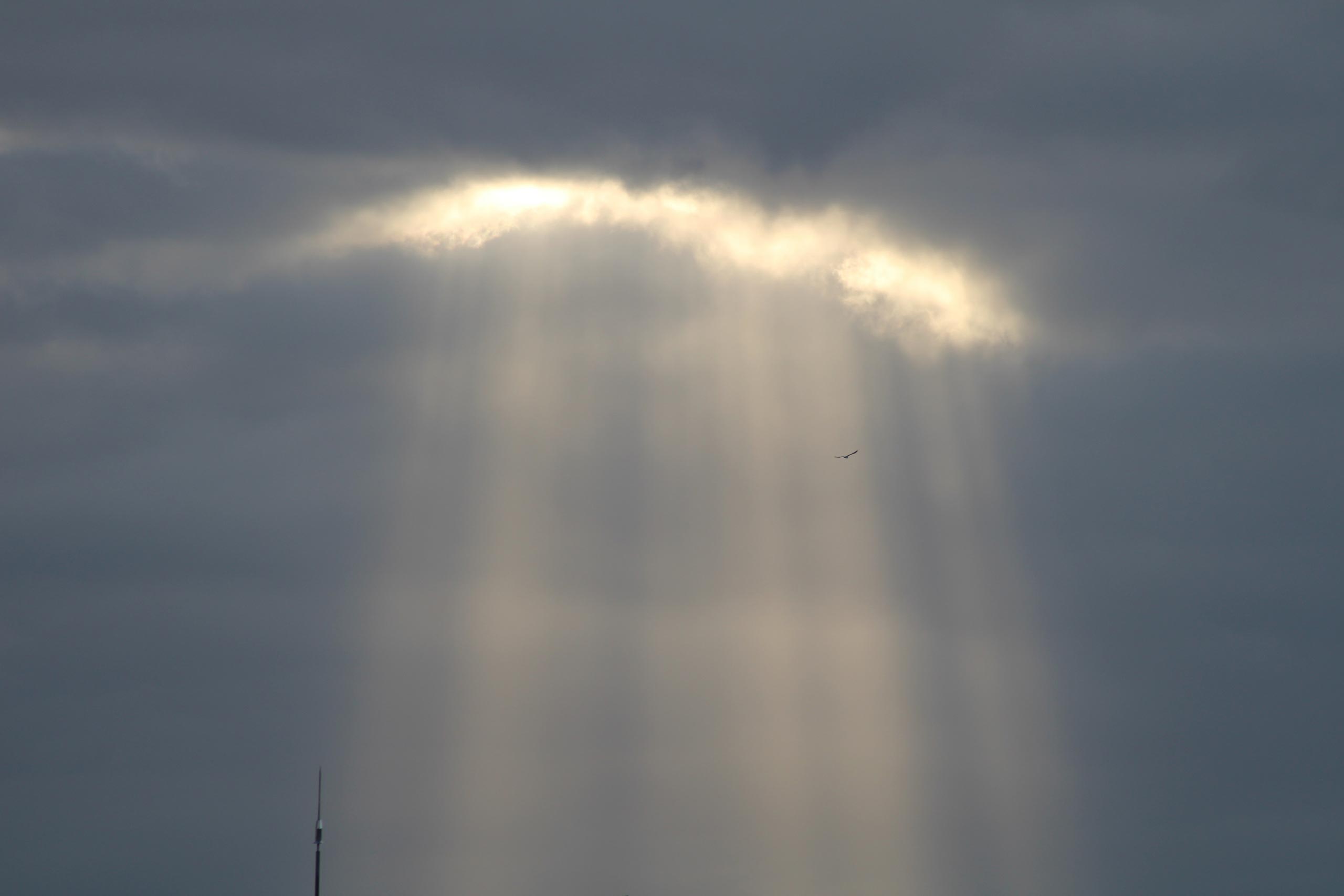 divina luz