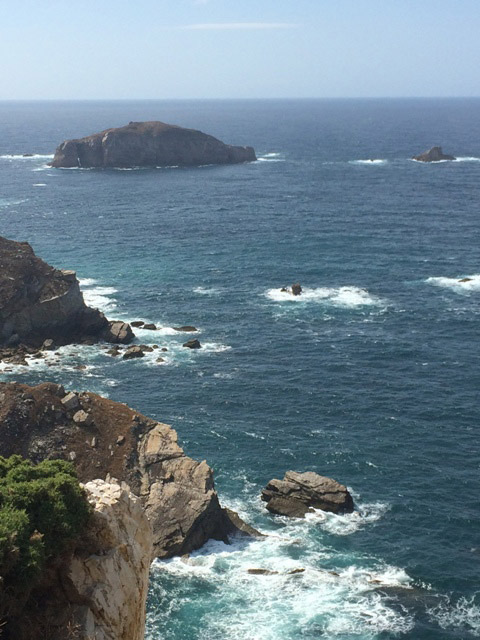 Isla de La Erbosa en Cabo Peñas