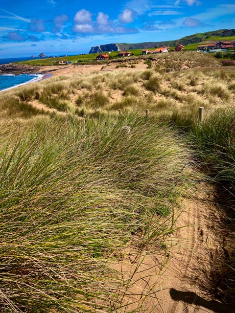 Camino a la playa de Verdicio entre las dunas