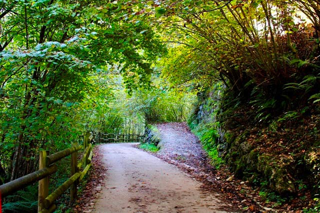 Hay multitud de caminos que salen de la ruta para explorar y tomar buenas fotos