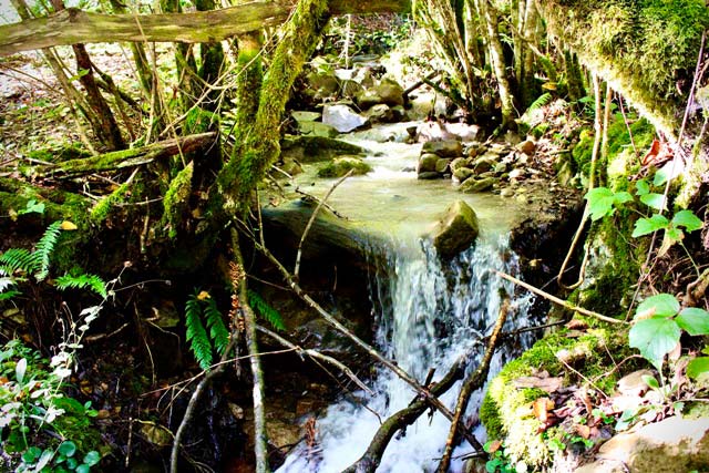 Uno de los muchos arroyos que alimenta el río Alba