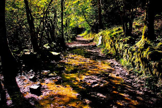 en la ruta del Alba conviene llevar calzado impermeable, sobre todo en primavera