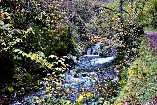 senda de monte a la vera del río Alba