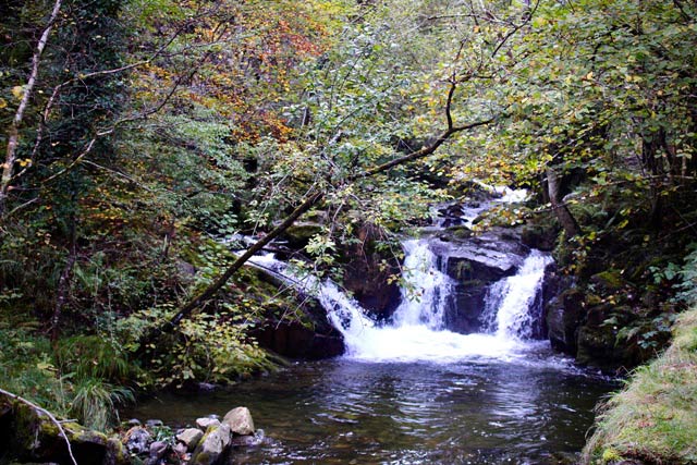 Pequeñas cascadas en el Río Alba