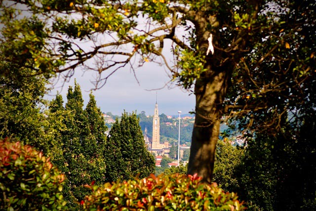 Torre de Laboral de Gijón vista desde el parque de Los Pericones en el barrio de El Llano de Gijón