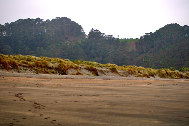 Zona de dunas en Barayo vistas desde la playa de espaldas al mar