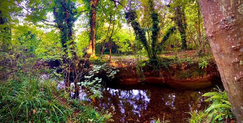 senda del río Peñafrancia en Gijón