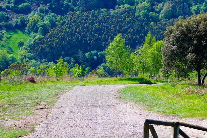Pista de acceso a la cima del Pico el Sol