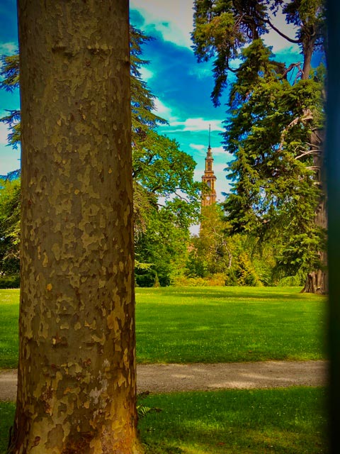 Torre de la laboral de Gijón vista desde el jardín botánico