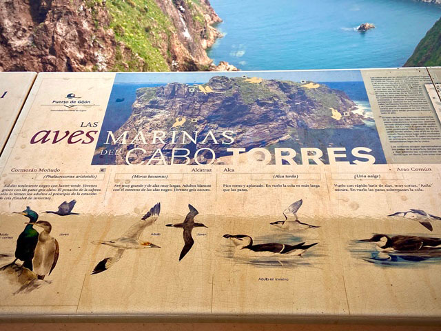 Parte del cuadro-mural divulgativo del observatorio de aves marinas en la campa torres en Gijón