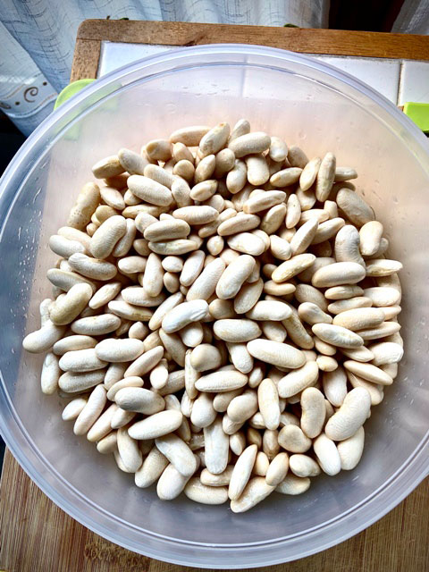 Fabas escurridas e hidratadas previo a la elaboración de la fabada