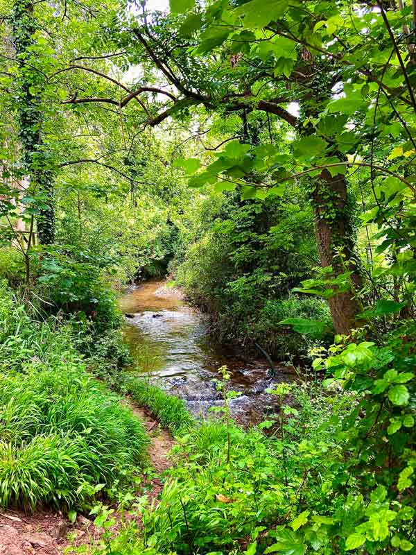 Imagen del río en la senda del río Peñafrancia en Gijón