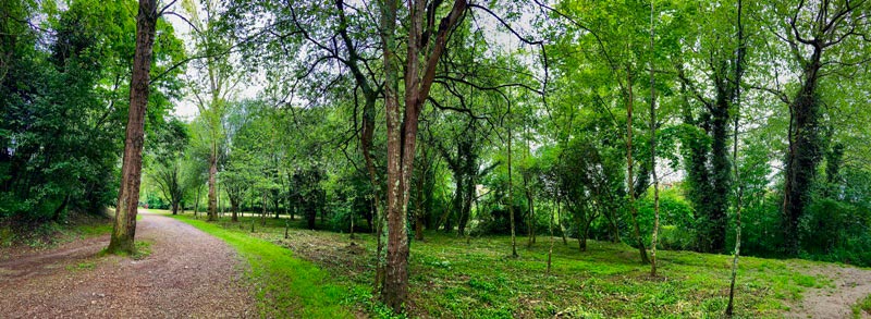 Nos acercamos al Club de Golf de El Tragamón en la senda del río Peñafrancia y el entorno, aunque más arreglado, sigue siendo salvaje