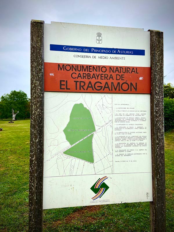 Panel informativo de la Consejería de Medio Ambiente sobre el Monumento Natural de la Carbayera de El Tragamón en Gijón