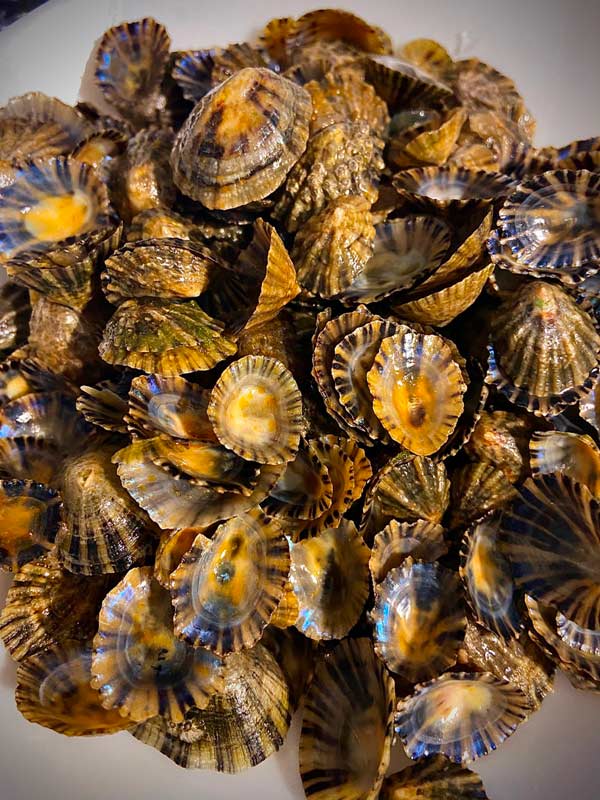 Cáscaras que sobran después de comer un plato de llámparas a la sidra