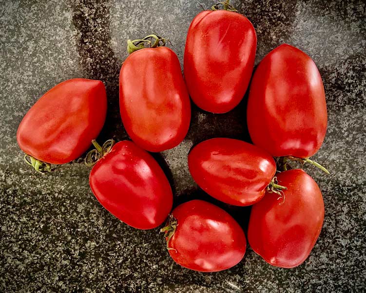 tomates pera para elaborar el pisto para empanada de bocartes