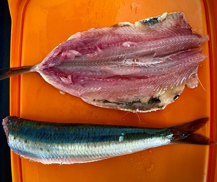 Sardinas limpias para freir con pìsto