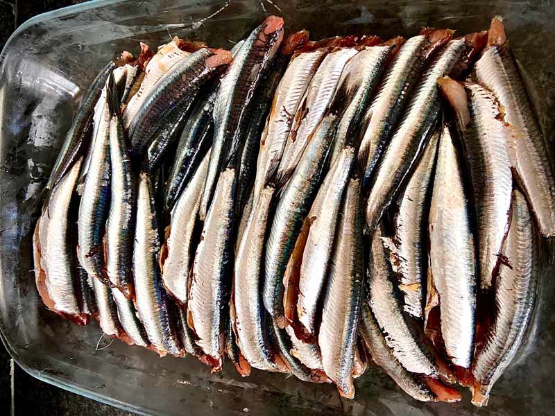 Bocartes ya limpios para preparar la empanda de bocarte