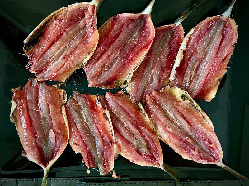 Sardinas limpias para freir con pìsto