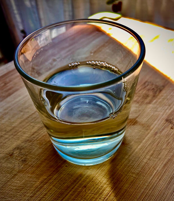 vino blanco para elaborar el pisto para la empanada de bocarte