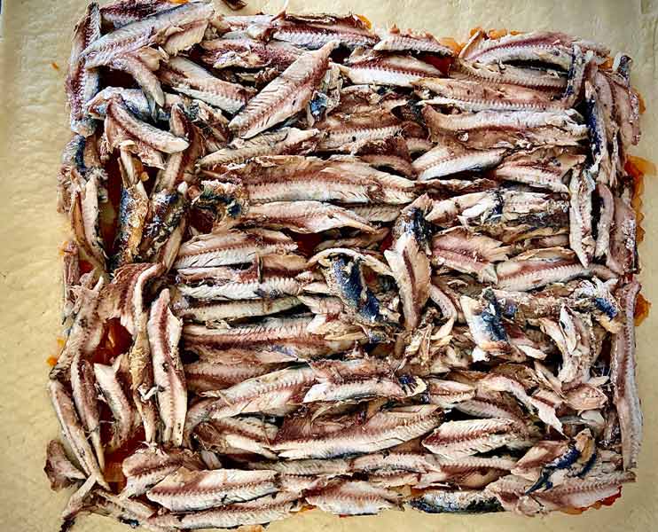 Capa de bocarte sobre el pisto y la masa para la empanada de bocartes