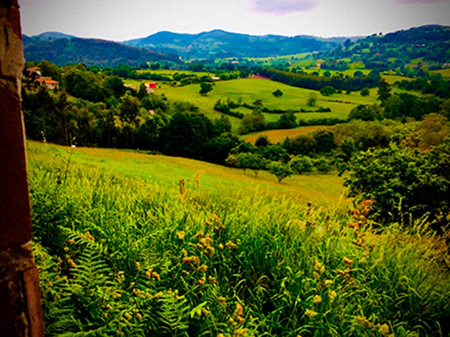 vista de las praderías en un típico valle asturiano