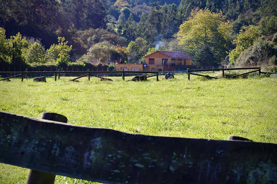 Prado que se usa de aparcamiento en playa España del concejo de Villaviciosa en Asturias