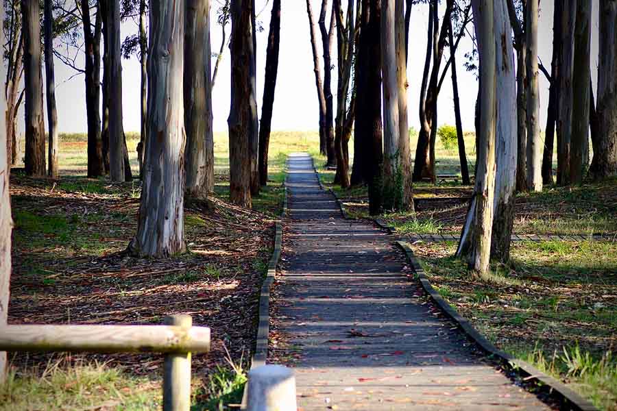 Pasarelas de madera en playa Rodiles