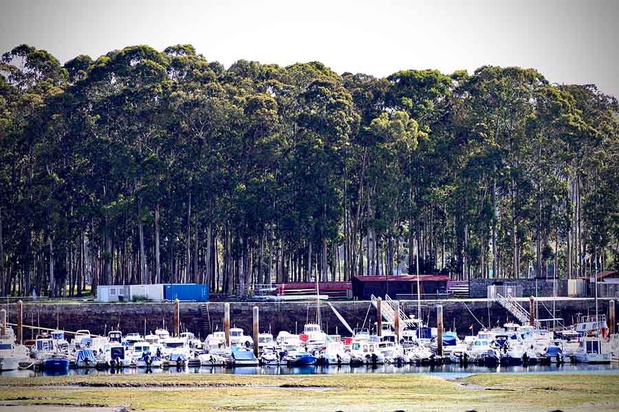 Puerto deportivo de El Puntal en la Ría de Villaviciosa