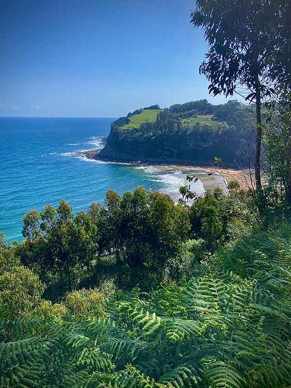 Entorno boscoso de playa España en Asturias