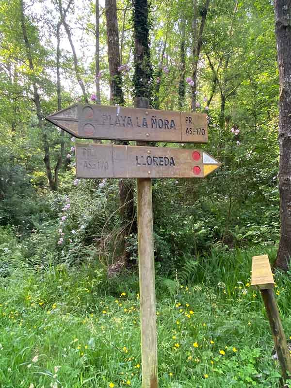 Señalización en la senda que viene de la Llorea pasando por el molino y llega a la playa de la Ñora