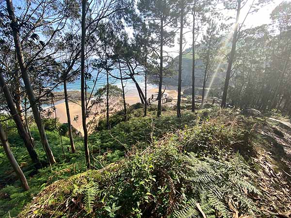 Playa de la Ñora en Villaviciosa vista desde los balcones de la senda peatonal
