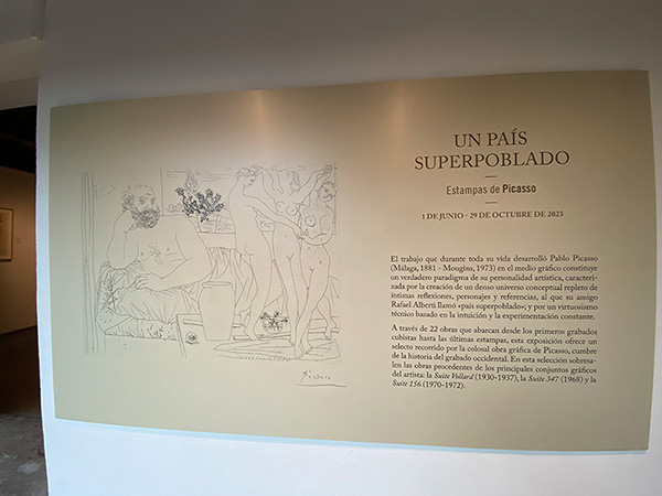 Panel informativo en el museo de bellas artes de Asturias