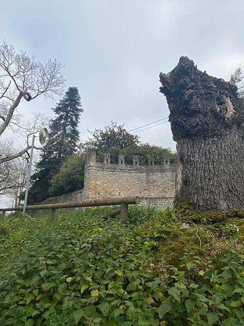 Entrada amurallada a la quinta del conde de Revillagigedo