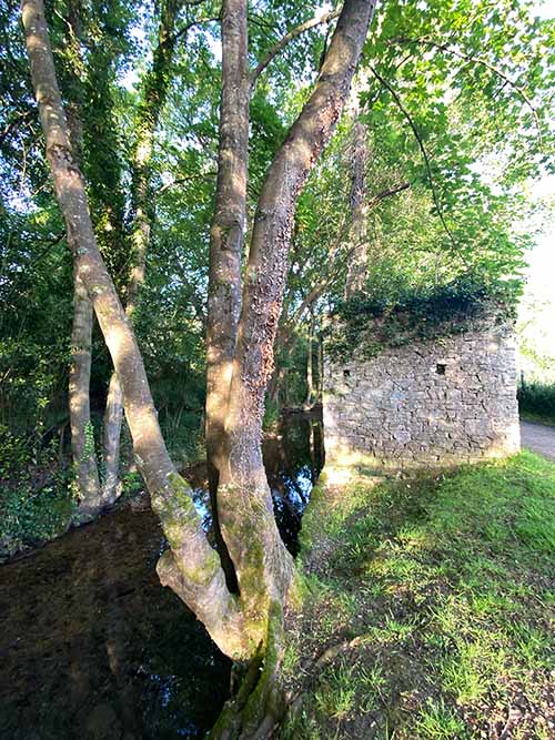 Senda del río Peñafrancia en la zona de la charca en Cabueñes de Gijón