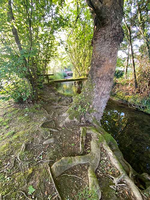 Senda del río Peñafrancia en la zona de la charca en Cabueñes de Gijón