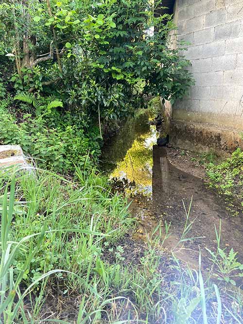 Senda del río Peñafrancia en Gijón, en la zona del camino del molin