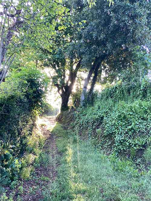 La senda del rio Peñafrancia desemboca en la carretera de Deva