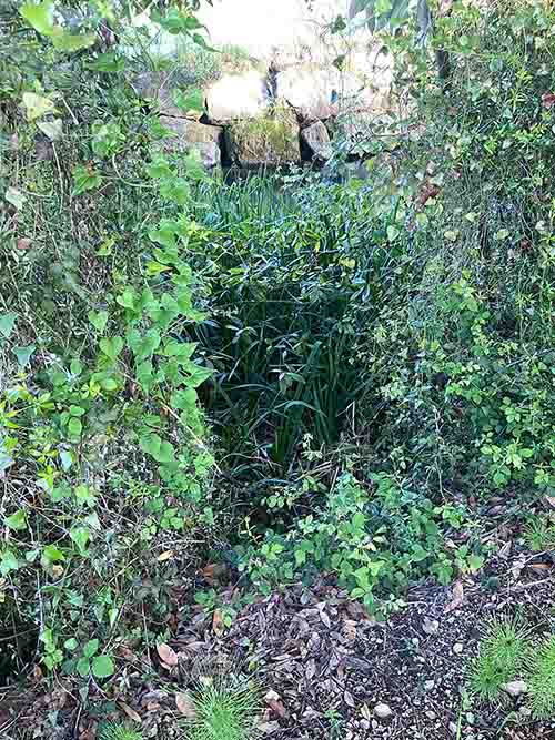 Senda del río Peñafrancia en Gijón, en la zona del camino del molin