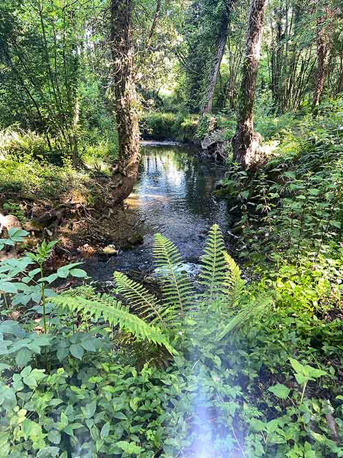 zona del centro de FP laboral agrario en la senda del río Peñafrancia en Gijón