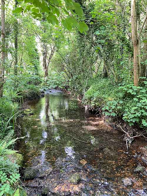Río Peñafrancia a su paso por Cabueñes en Gijón