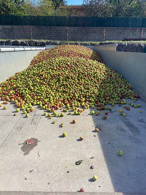Tolva o cubeta en la que se almacena en el llagar la manzana para hacer sidra en Asturias