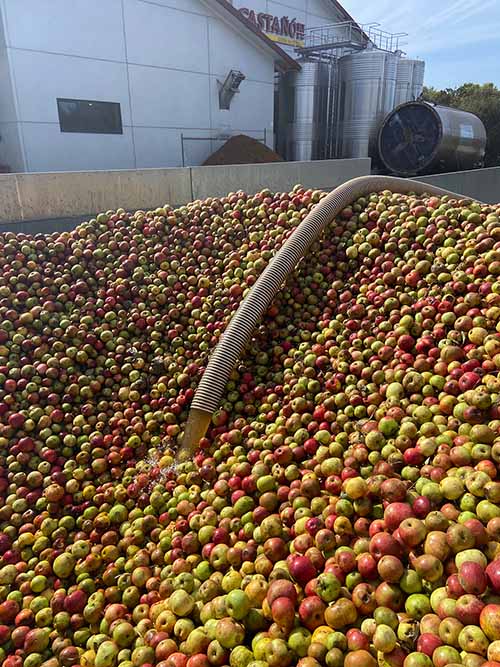 Tolva o cubeta en la que se almacena en el llagar la manzana para hacer sidra en Asturias