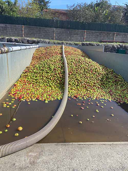 Tolva o cubeta en la que se almacena en el llagar la manzana para hacer sidra en Asturias