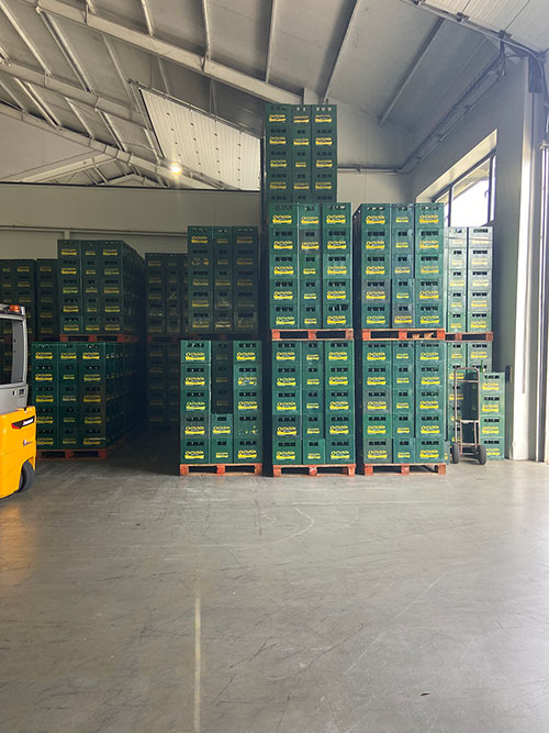 Cajas llenas de botellas de sidra natural asturiana en el llagar listas para ser distribuidas