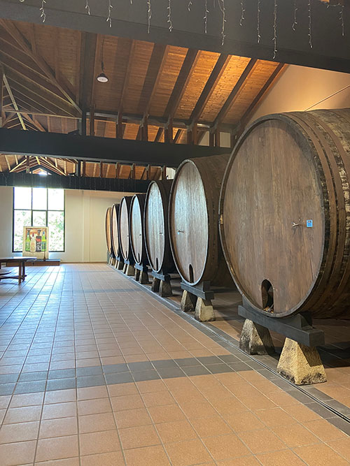 Toneles de madera de castaño para almacenar el mosto y producir sidra natural asturiana