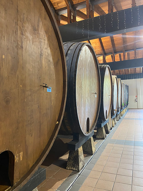 Toneles de madera de castaño para almacenar el mosto y producir sidra natural asturiana