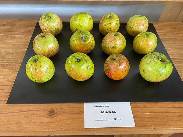 Variedad de manzana D.O.P.