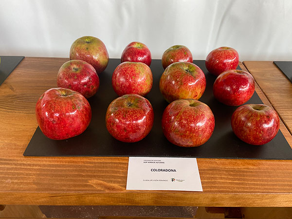 Variedad de manzana D.O.P.