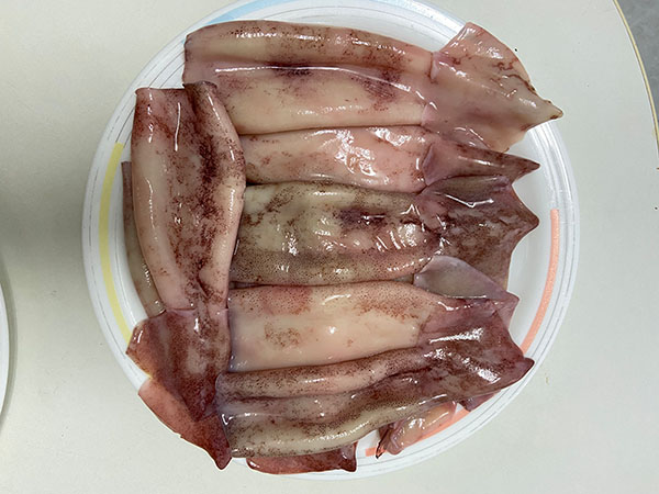 Potarros limpios preparados para rellenar y guisar en tinta